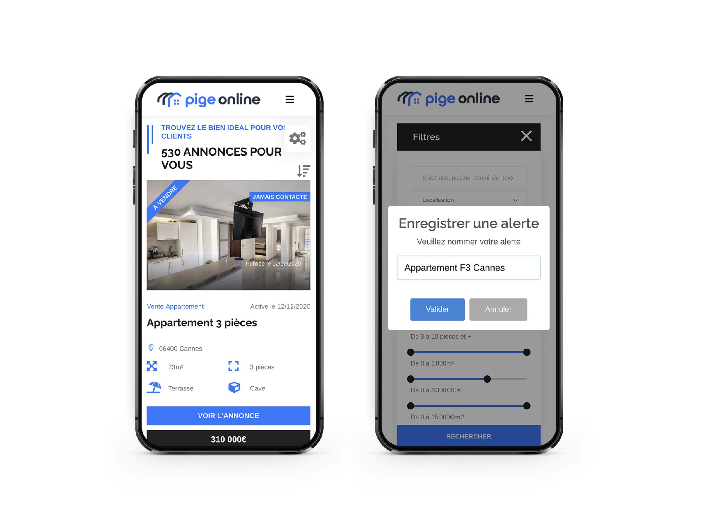 logiciel pige immobiliere